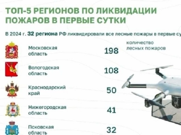 Нижегородская обл вошла в топ-5 по скорости ликвидации лесных пожаров