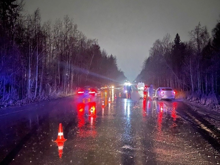 В Петрозаводске водитель сбил пешехода и поехал дальше