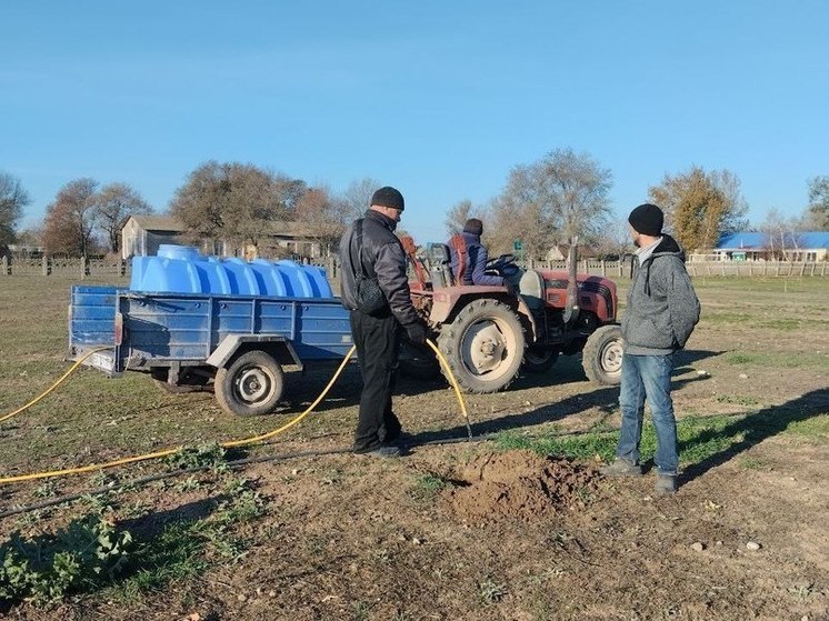 В селе Приволье на Херсонщине высадили деревья