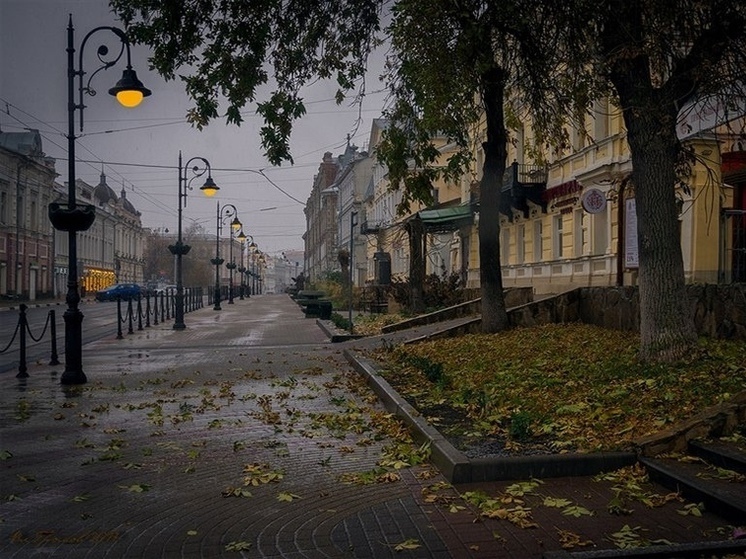 Пасмурно и +6 градусов ожидается в Нижнем Новгороде 18 ноября