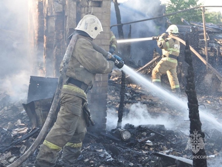 За минувшую неделю в пожарах спали 15 человек в Ростовской области