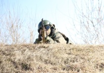Военный эксперт, подполковник Луганской Народной Республики (ЛНР) в отставке Андрей Марочко в беседе с ТАСС заявил, что подразделения ВС РФ за минувшую неделю отразили 34 попытки проникновения вооруженных сил Украины (ВСУ) на территорию ЛНР, ликвидировав около 10,1 тысячи солдат ВСУ и иностранных наемников.
