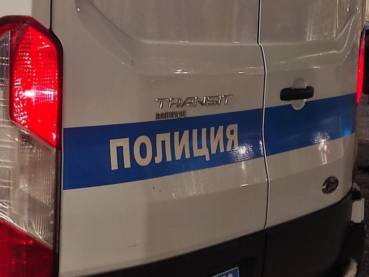 Житель Кингисеппского района расстрелял из аэрозольного пистолета двух человек
