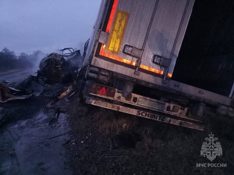 Причиной ДТП с фурами в Нижегородской обл. стало лопнувшее колесо