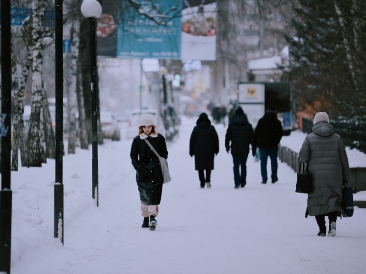 В Томске 19 ноября потеплеет до +1 градуса