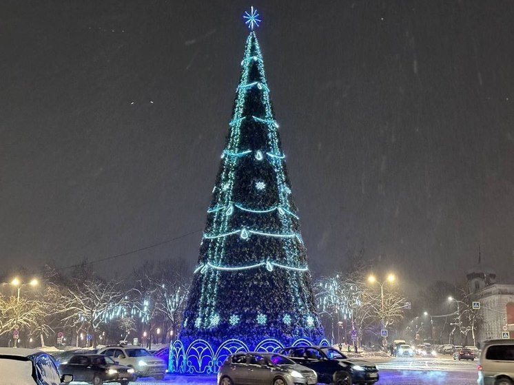 Когда в Пскове установят главную елку города