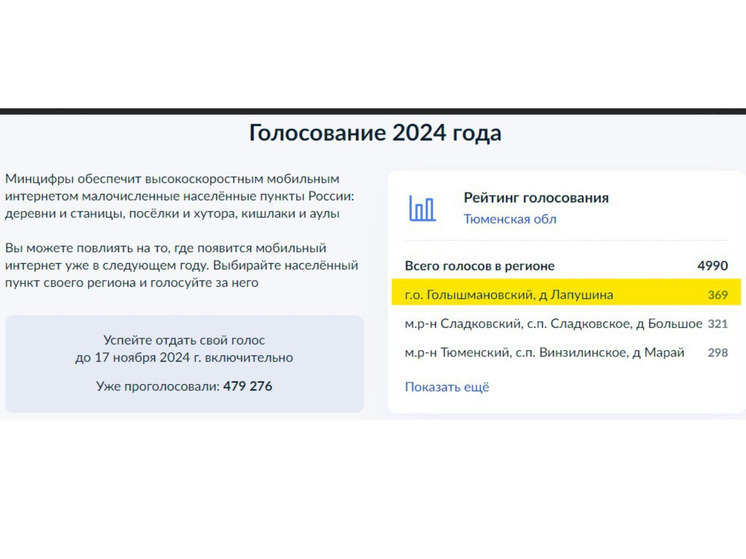 Высокоскоростной мобильный интернет придет в деревню Лапушина Голышмановского округа