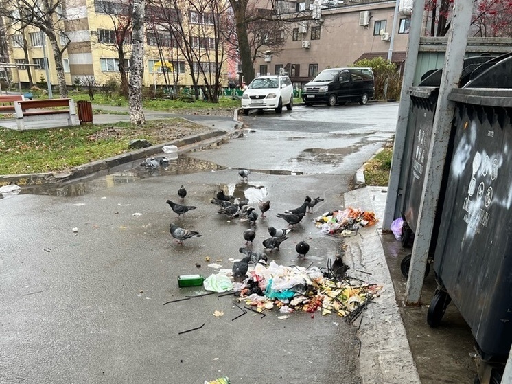 В Южно-Сахалинске сотрудники ночного клуба сваливают отходы на проезжую часть