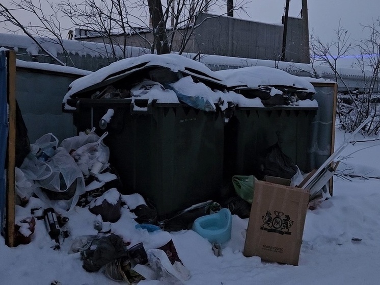 Перевозчика ТКО накажут за заваленную мусором площадку в Лабытнанги