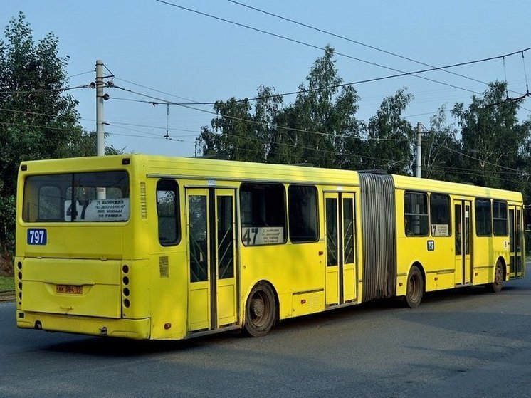 Жители Ярославля поностальгировали по поводу автобусов-гармошек