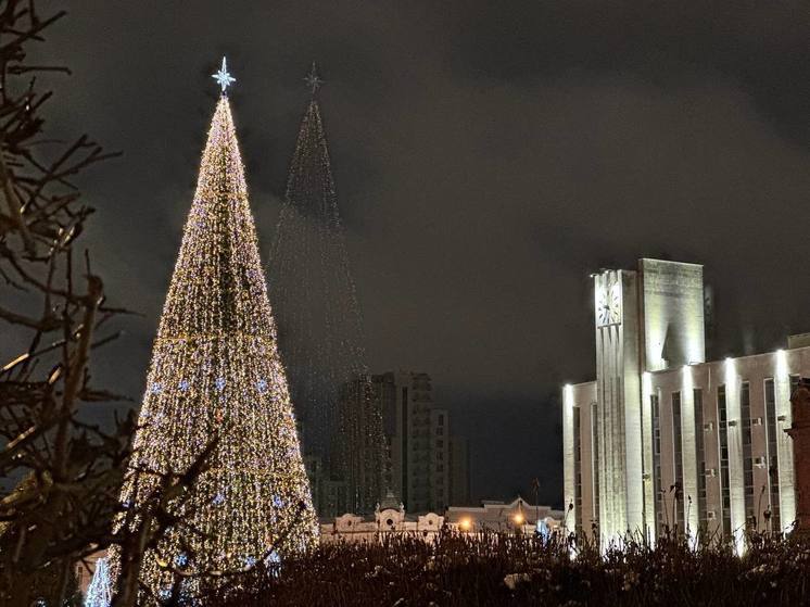 В Пензе начали подготовку к новогодней кампании