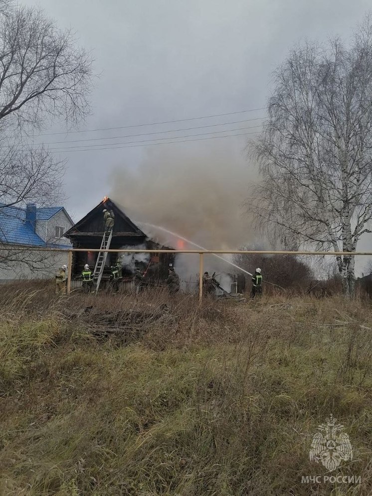 Смертельный пожар унес жизнь мужчины в Шатковском округе