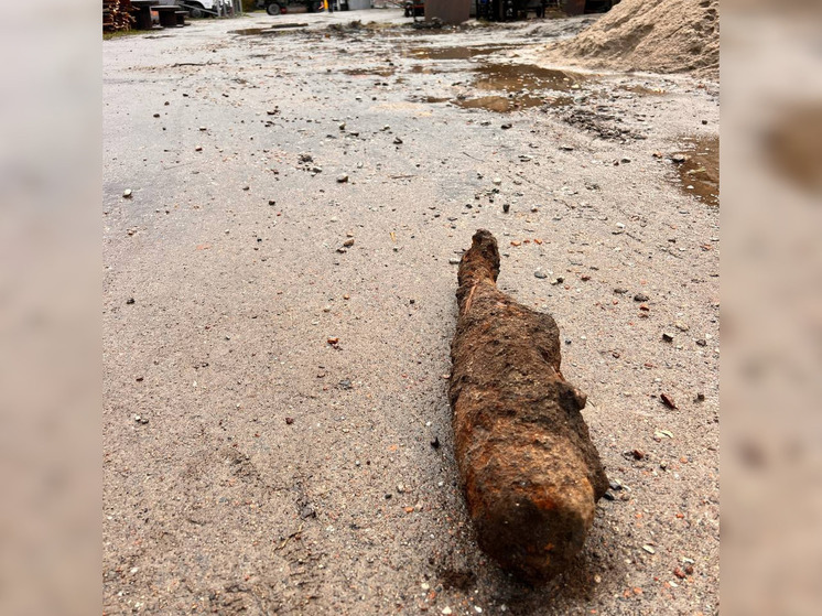 В калининградском зоопарке во время ремонта хоздвора нашли снаряд времен ВОВ