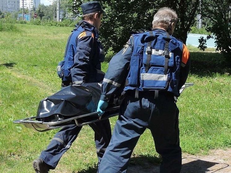 Раненный охотник разглядел людей, стрелявших в талдомском лесу