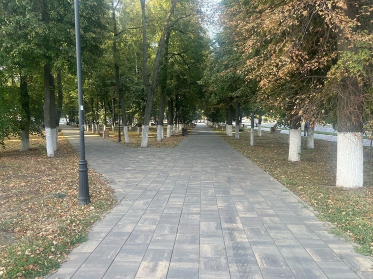 В ДНР до конца года благоустроят 24 общественные территории