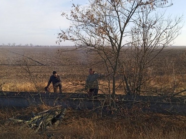 В Херсонской области проводят уборку обочин в Великолепетихском округе