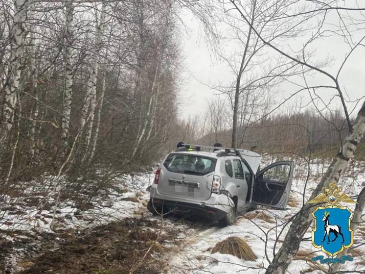 В Самарской области 74-летний водитель не справился с дорогой и вылетел в кювет