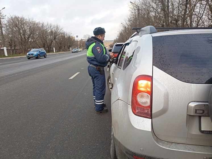 В Твери ГАИ контролирует наличие детских кресел в автомобилях
