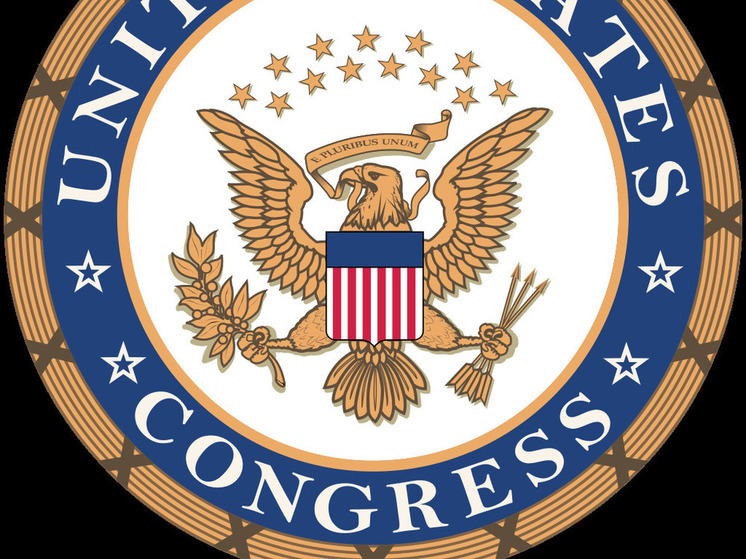 Республиканская партия среди планов на 2025 год не упомянула помощь Украине