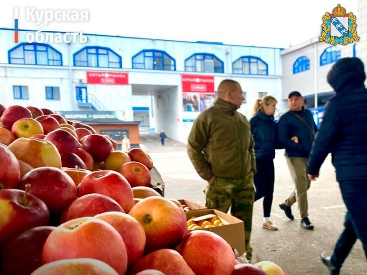 Предпринимателям из курского приграничья предложили 500 бесплатных торговых мест