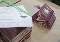 В МВД рассказали, что в паспорте гражданина РФ должны быть две обязательные отметки