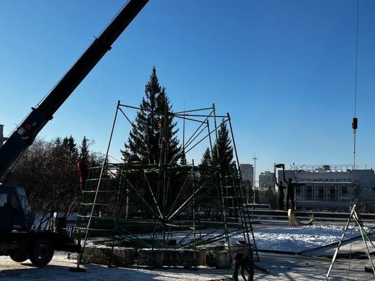 В центре Новосибирска устанавливают главную Новогоднюю ель города