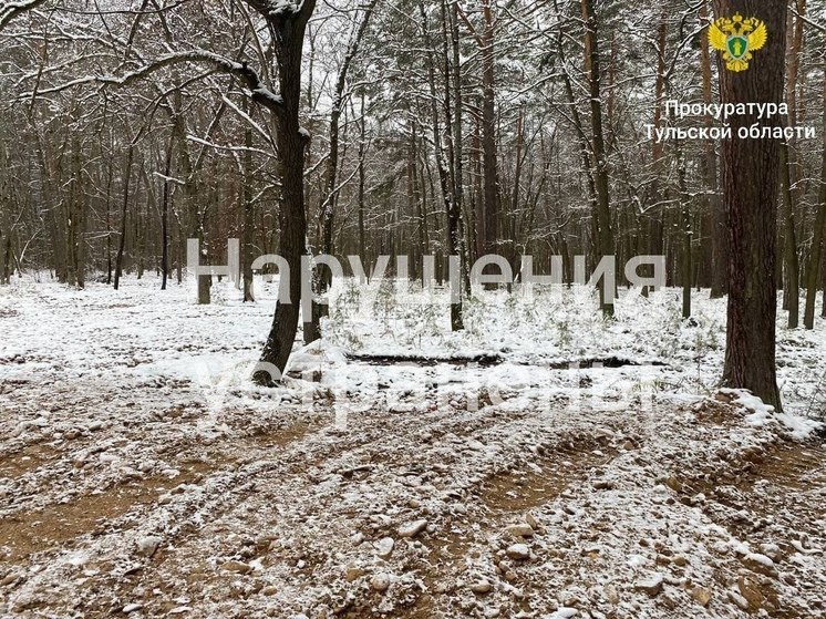 Тульская прокуратура наказала ООО «Форест траффик сайнс» за спиленные деревья