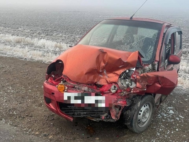 В Ростовской области в аварии пострадали два человека