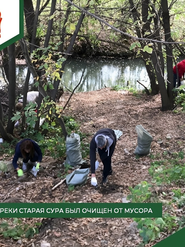 Неравнодушные жители Пензы убрались на берегу Старой Суры