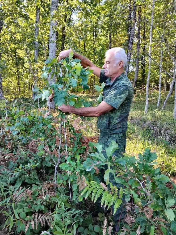 В Краснодарском крае специалисты провели инвентаризацию леса