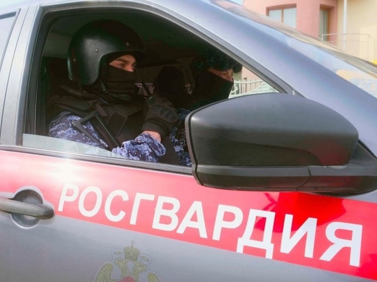 В Геническе росгвардейцы задержали мужчину при попытке ограбить «Военторг»