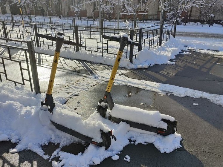 Владельцев самокатов хотят обязать платить за парковки в Чите