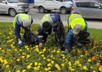 С 1 января 2025 года в Сахалинской области вступает в силу указ губернатора Валерия Лимаренко, ограничивающий привлечение иностранных граждан, работающих по патентам, к 24 видам экономической деятельности