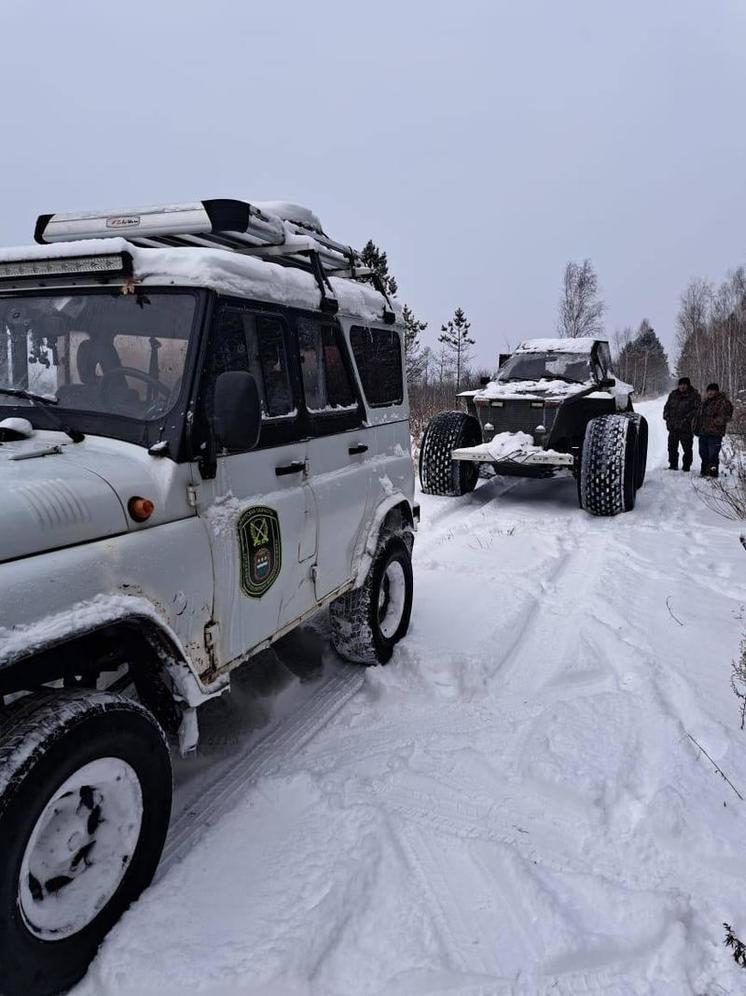 Очередных охотников поймали с незаконной добычей в Амурской области