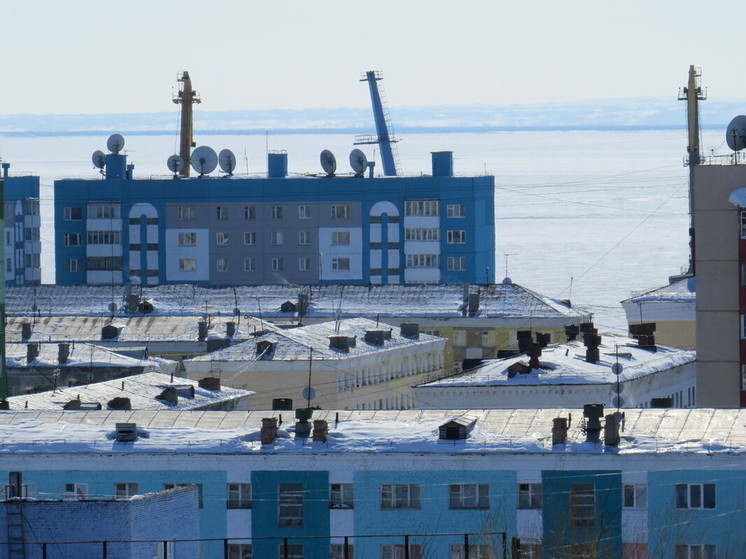 В арктическую биоэкономику вложатся государство и частные инвесторы