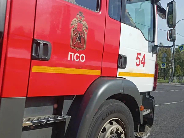 В Боровичах пожарные эвакуировали 12 человек из-за горящей коляски