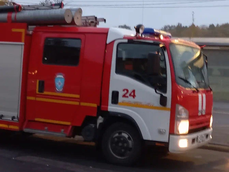В Новгородской области из-за короткого замыкания загорелись автомобиль и баня