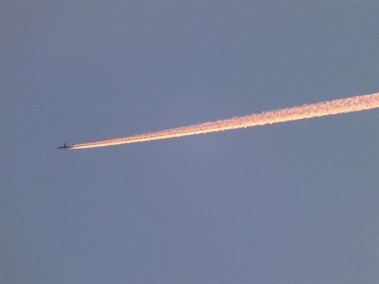 Пассажирский самолет вынуждено сел в Улан-Удэ из-за угрожавшего стюардессе дебошира