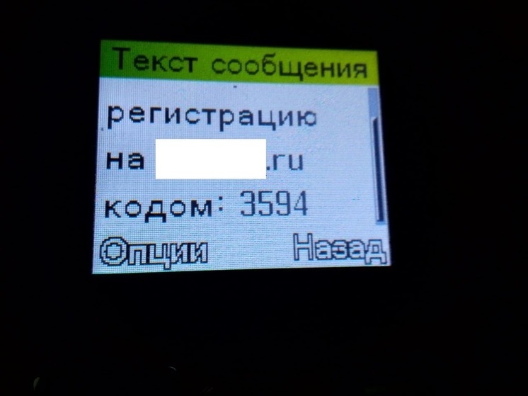 По данным МВД России по Хакасии, с начала 2024 года в регионе зарегистрировано 1894 преступления, совершенных с использованием информационно-телекоммуникационных технологий. 