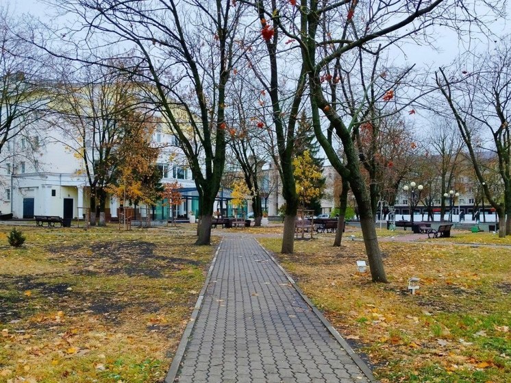 Белгородцам обещают дождь и мокрый снег в пятницу