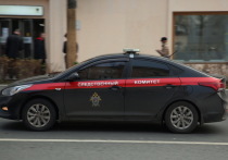 Обвиняемую в убийстве девятилетнего сына жительницу Перми признали вменяемой по итогам психолого-психиатрической экспертизы