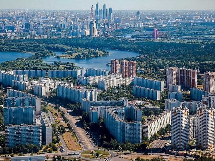 Сильный ветер повалил в Москве деревья