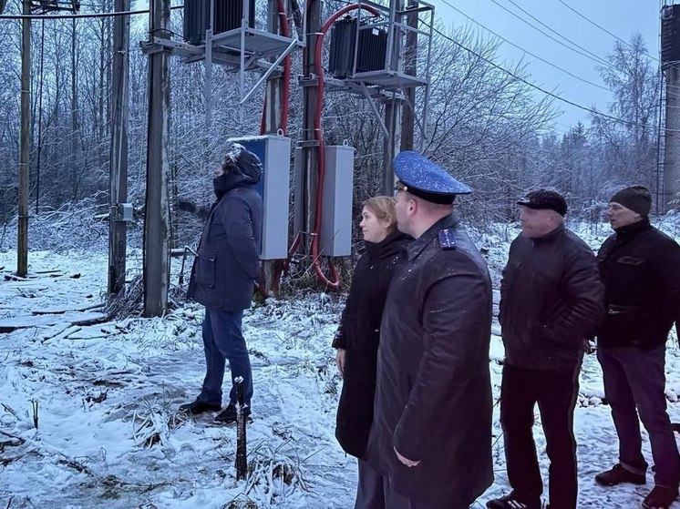 В Тосненском районе восстановили электричество в доме матери участника СВО
