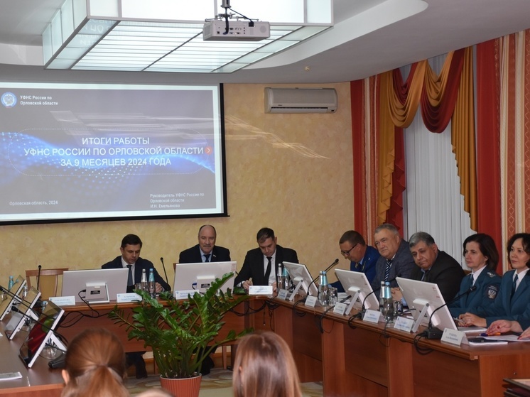 Орловские налоговики подвели итоги работы за 9 месяцев 2024 года