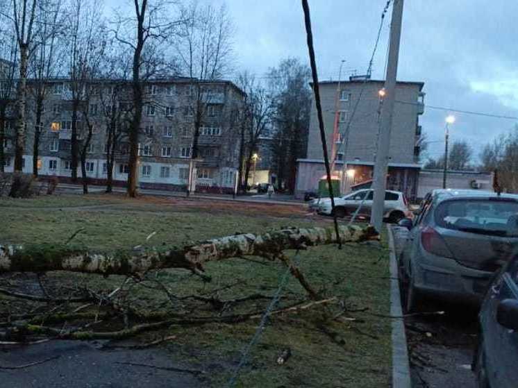 Более 280 энергетиков «Ярэнерго» ликвидируют последствия непогоды