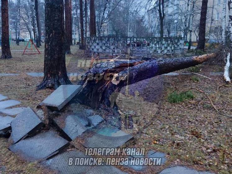 Последствия штормового ветра в Пензенской области