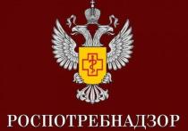 В последнее воскресенье ноября мы традиционно поздравляем самых важных людей в жизни – наших мам – с их праздником