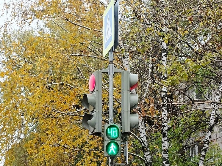 В Белгородской области заработали два новых светофора