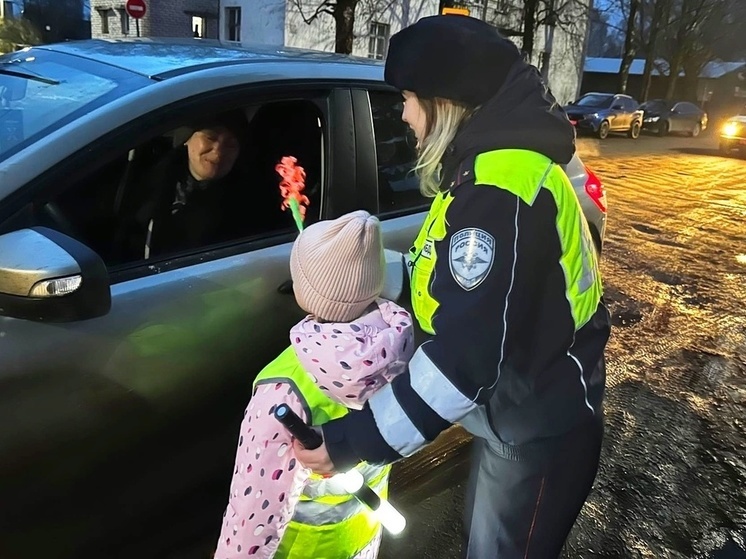 В преддверии Дня матери автоинспекторы и юные новгородцы поздравили женщин-водителей