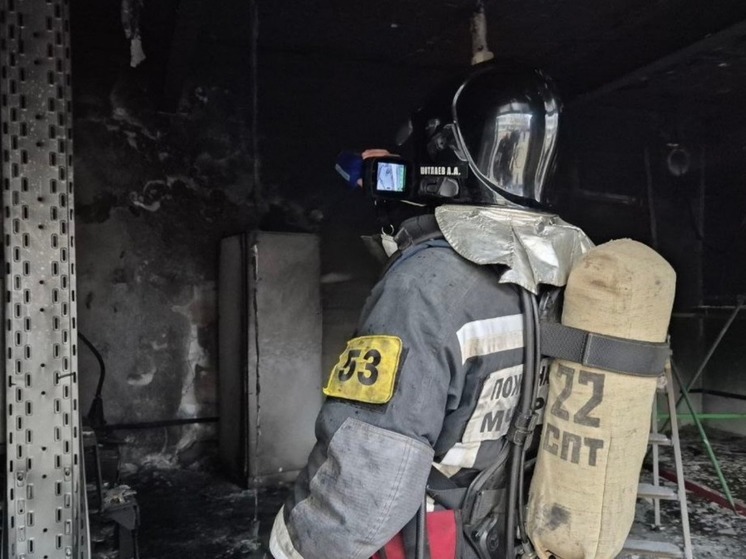 В домовладении Элисты произошел пожар